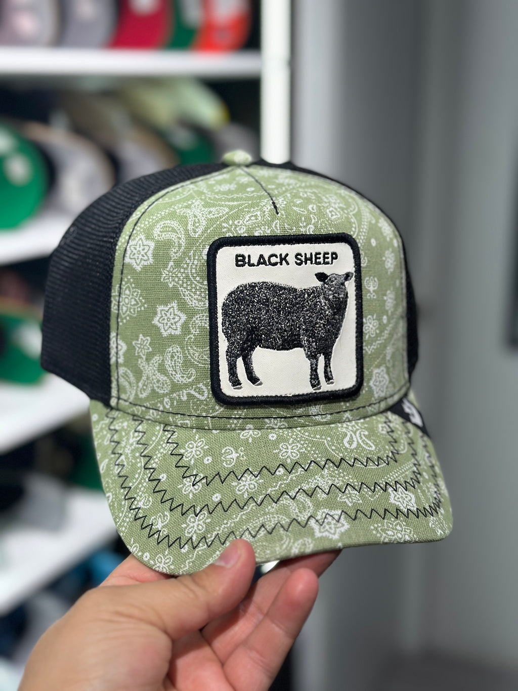 Goorin Bros Problem Black Sheep