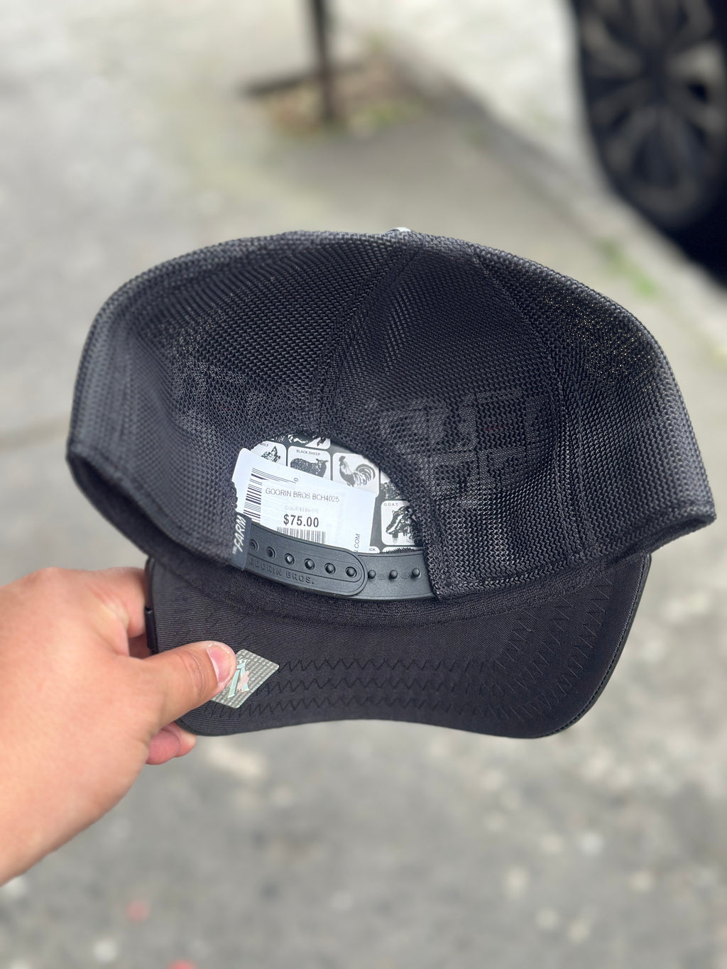 Goorin Bros Panther Charol